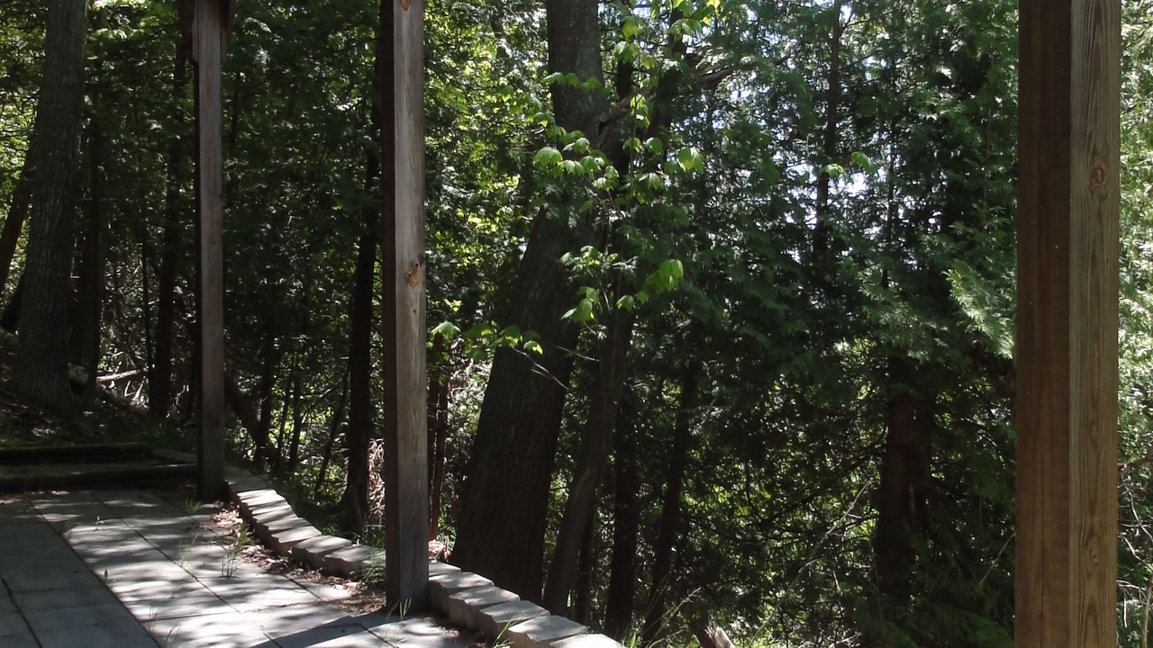 Photo of Others in Forest Beach