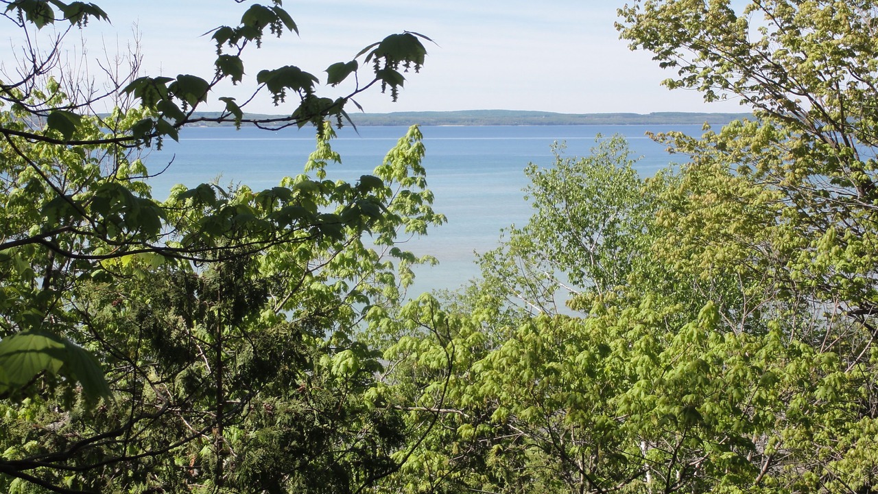 Photo of Outdoor in Forest Beach