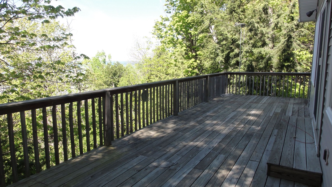 Photo of Outdoor in Forest Beach