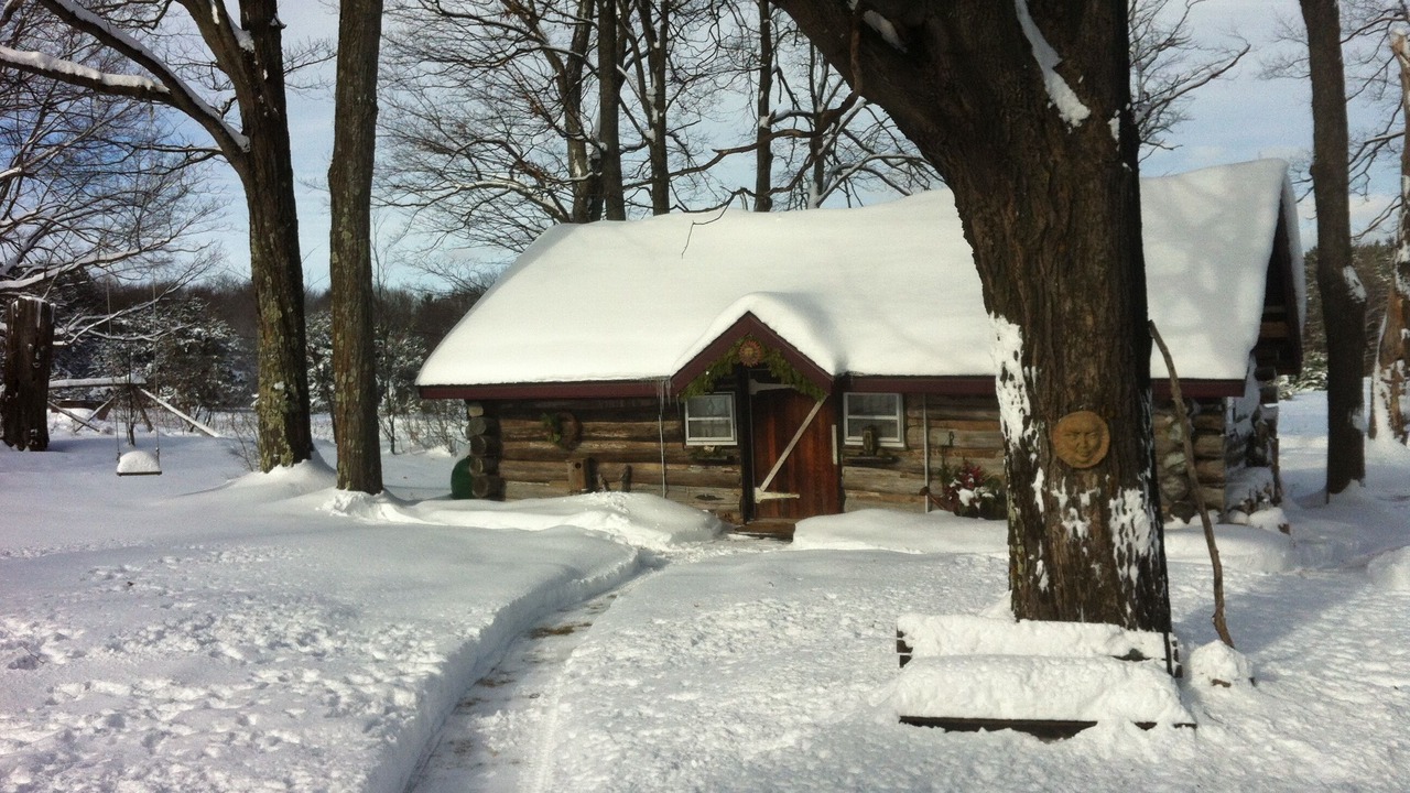 Photo of Outdoor in Mancelona