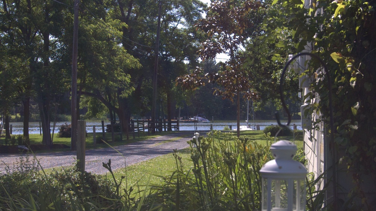 Photo of Others in Wittman