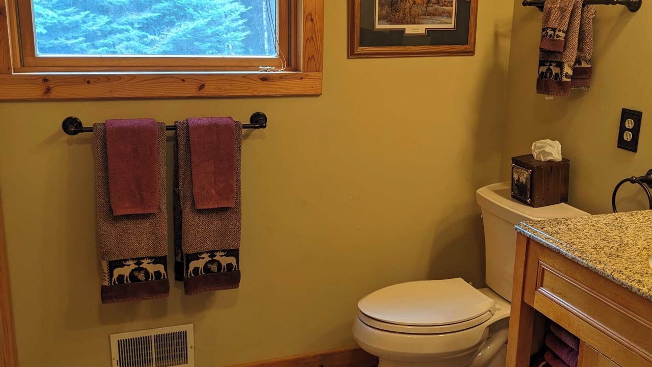 Photo of Bathroom in Alanson