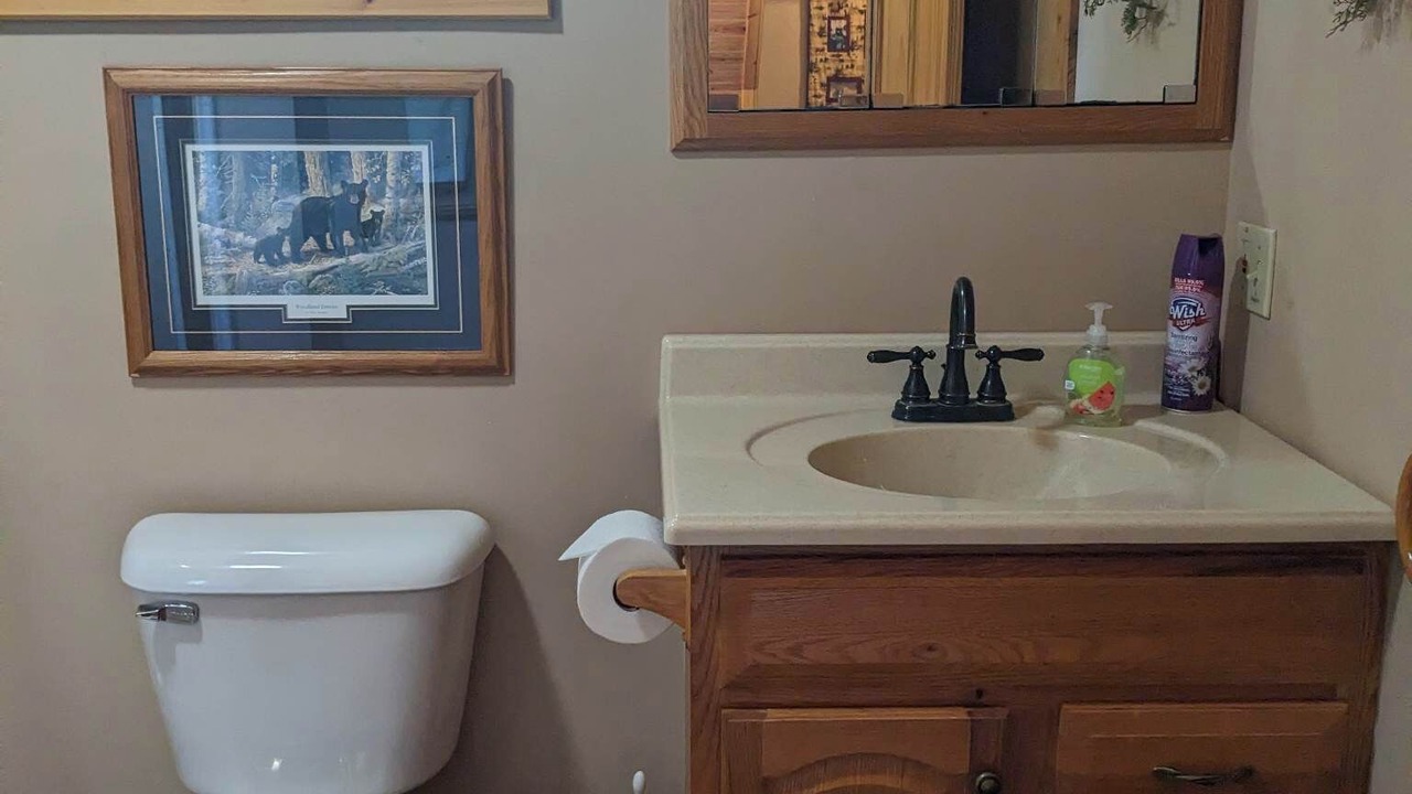 Photo of Bathroom in Alanson