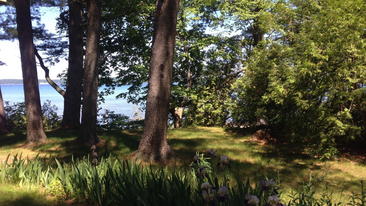 Photo of Outdoor in Williamsburg