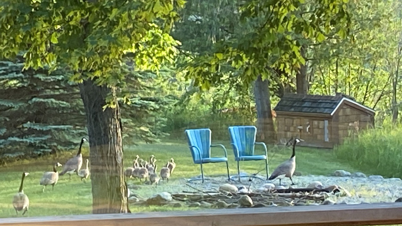 Photo of Outdoor in Levering