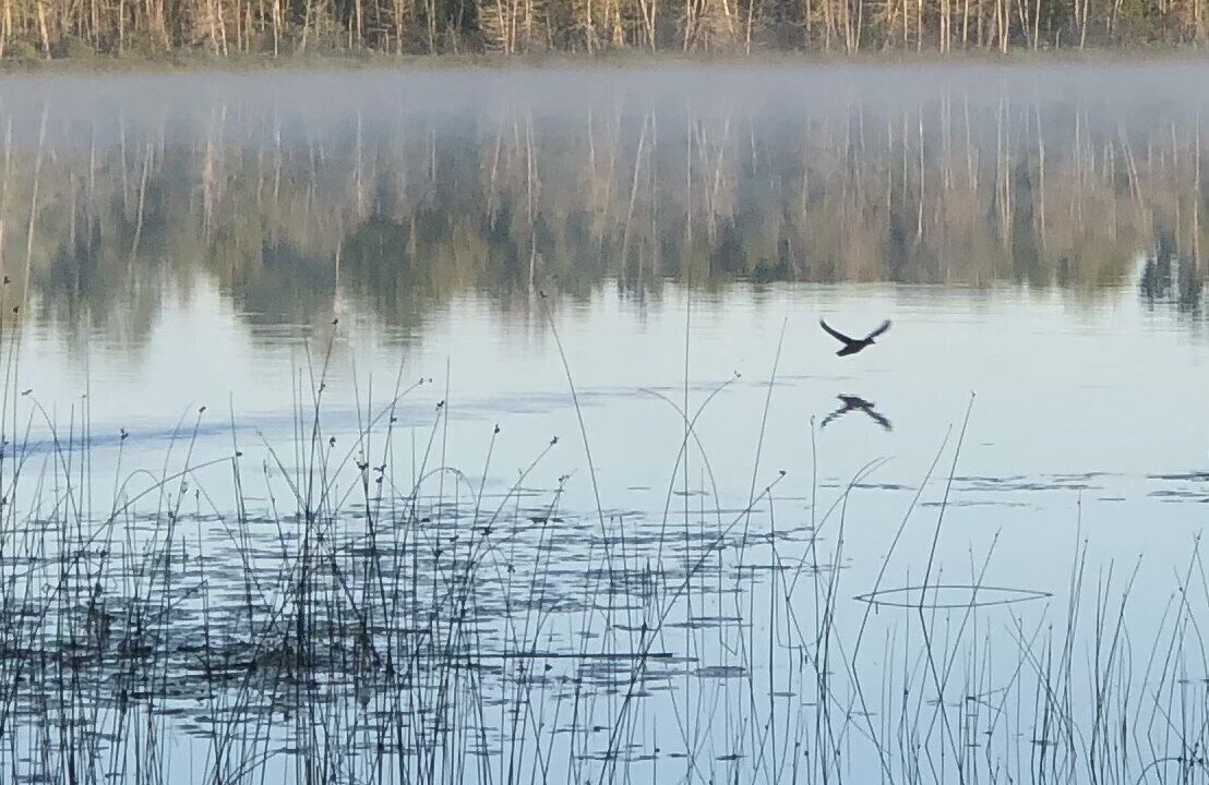 Photo of Outdoor in Levering