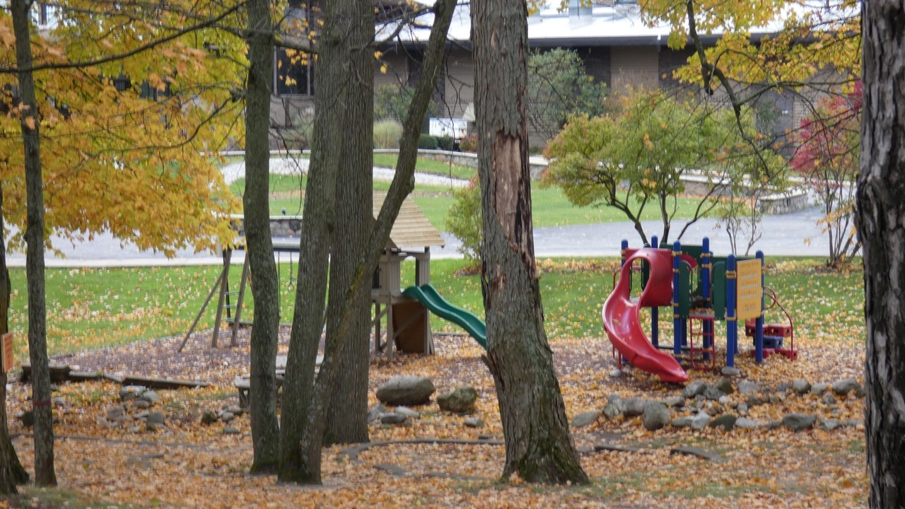 Photo of Others in Bellaire