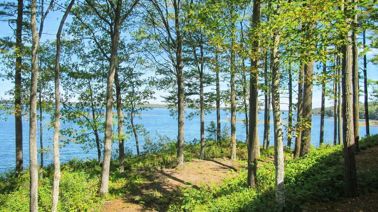 Photo of Others in Harpswell