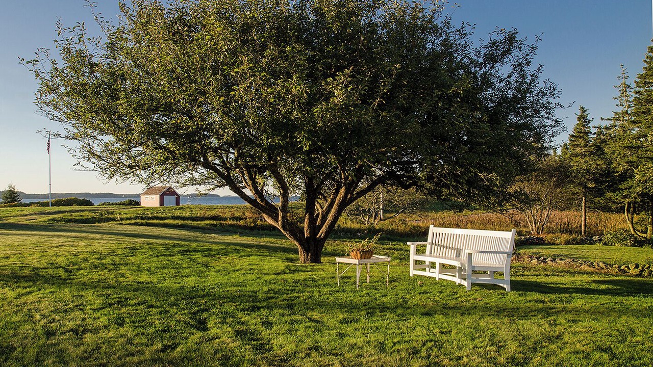 Photo of Outdoor in North Haven