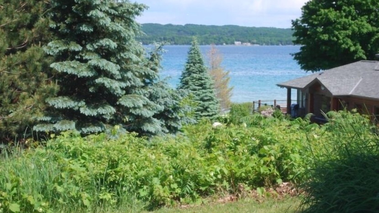 Photo of Outdoor in Kewadin