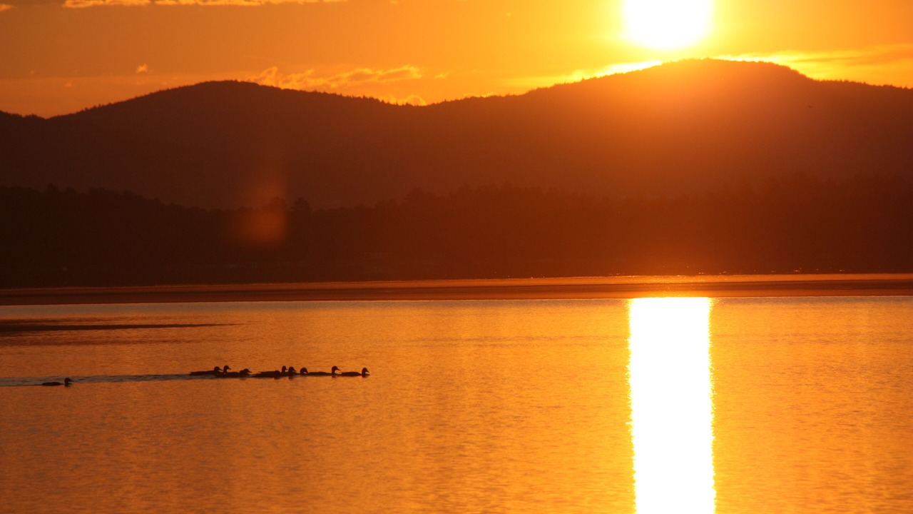 Photo of Others in Center Ossipee