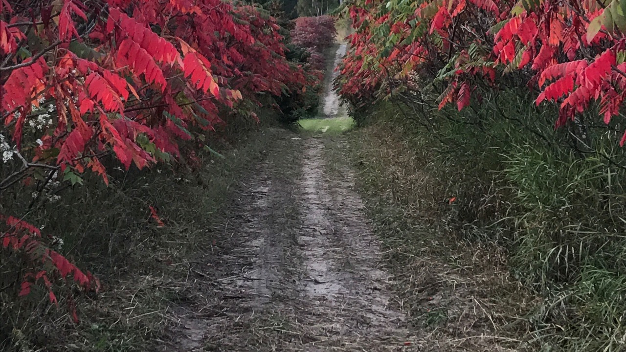 Photo of Outdoor in Mio