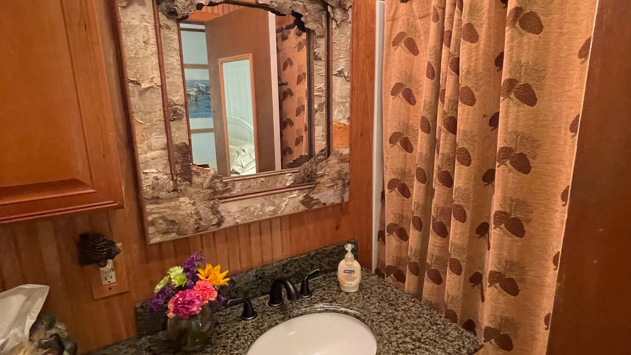 Photo of Bathroom in Brutus