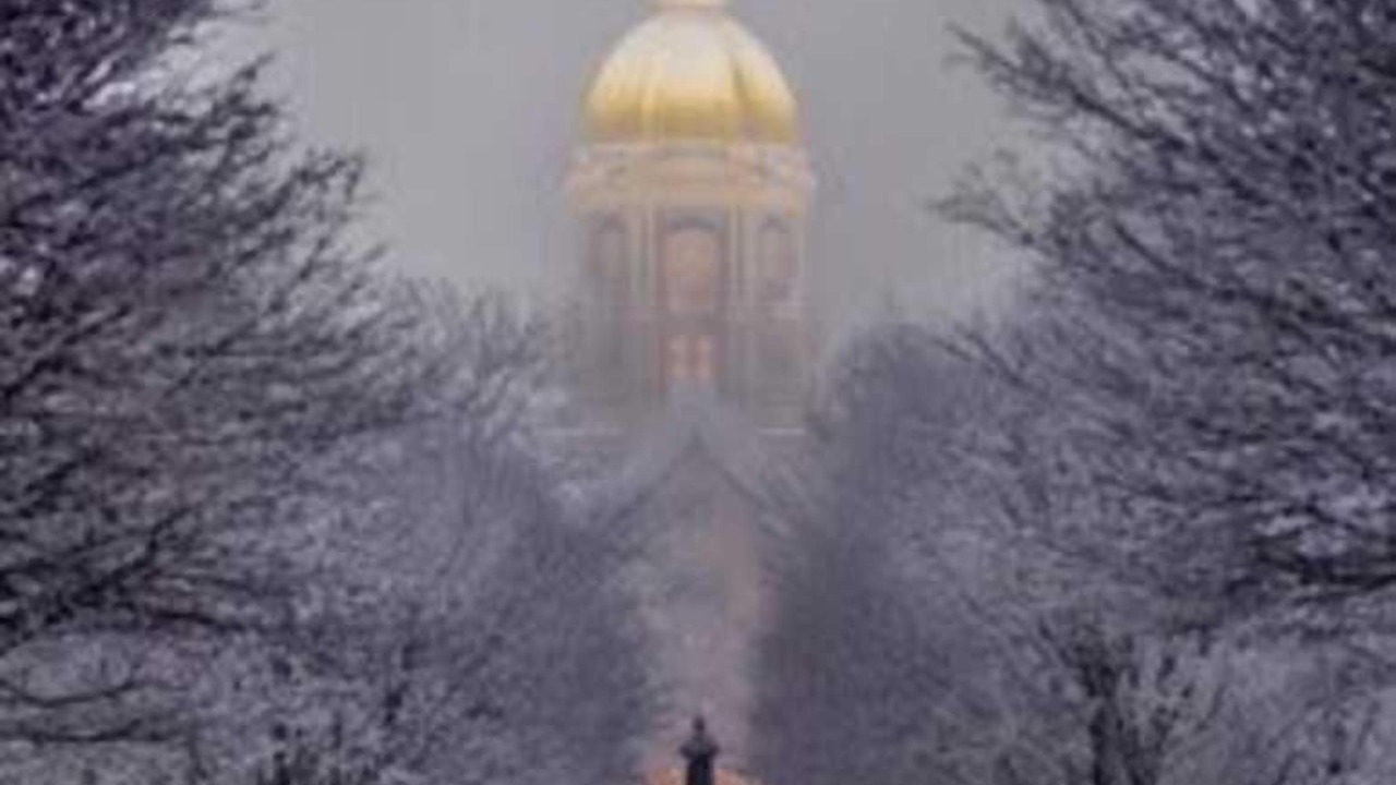 Photo of Others in South Bend