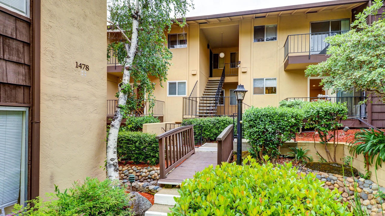 Photo of Outdoor in West San Jose