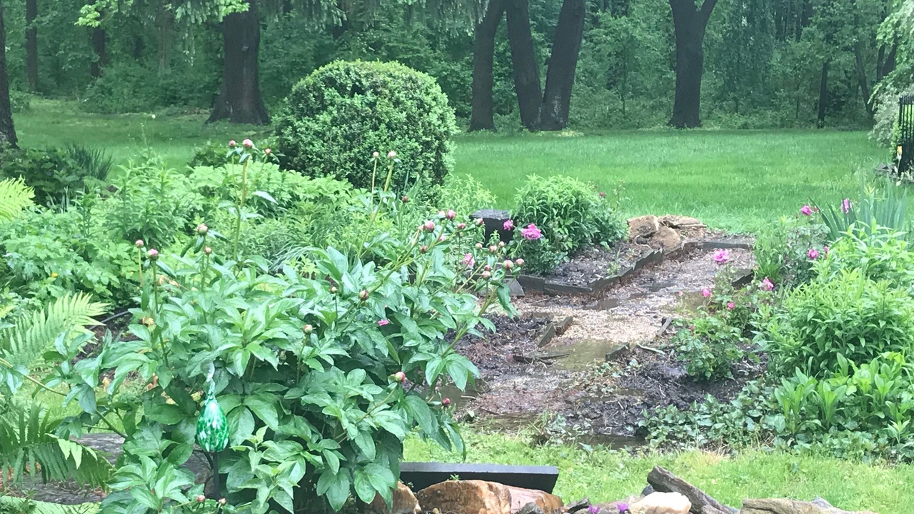 Photo of Outdoor in Chadds Ford