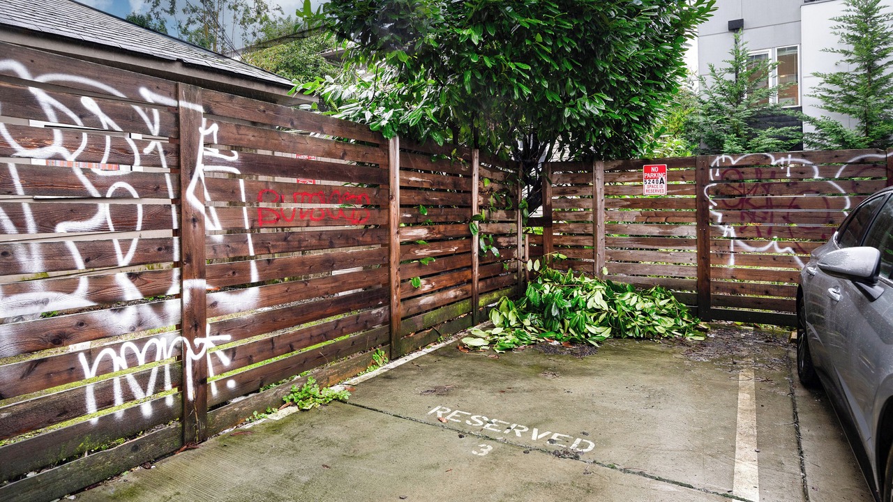 Photo of Outdoor in University District