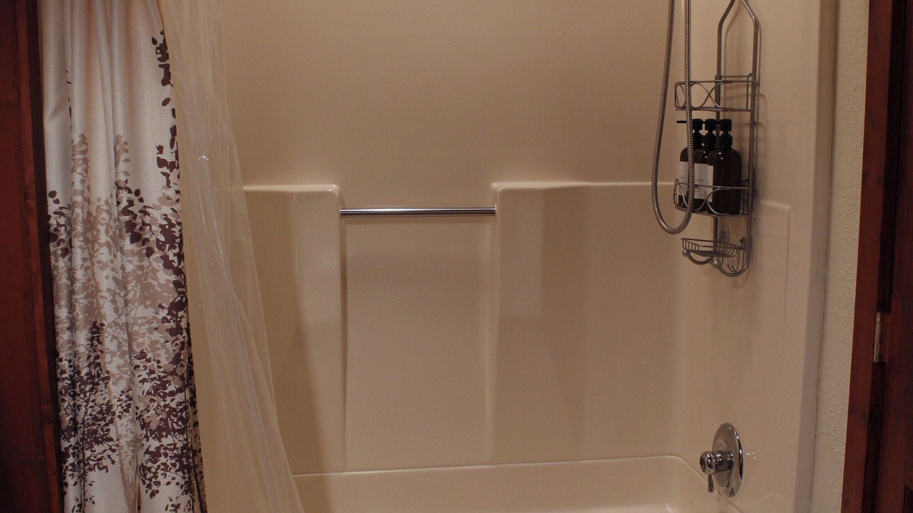 Photo of Bathroom in Lake Odessa