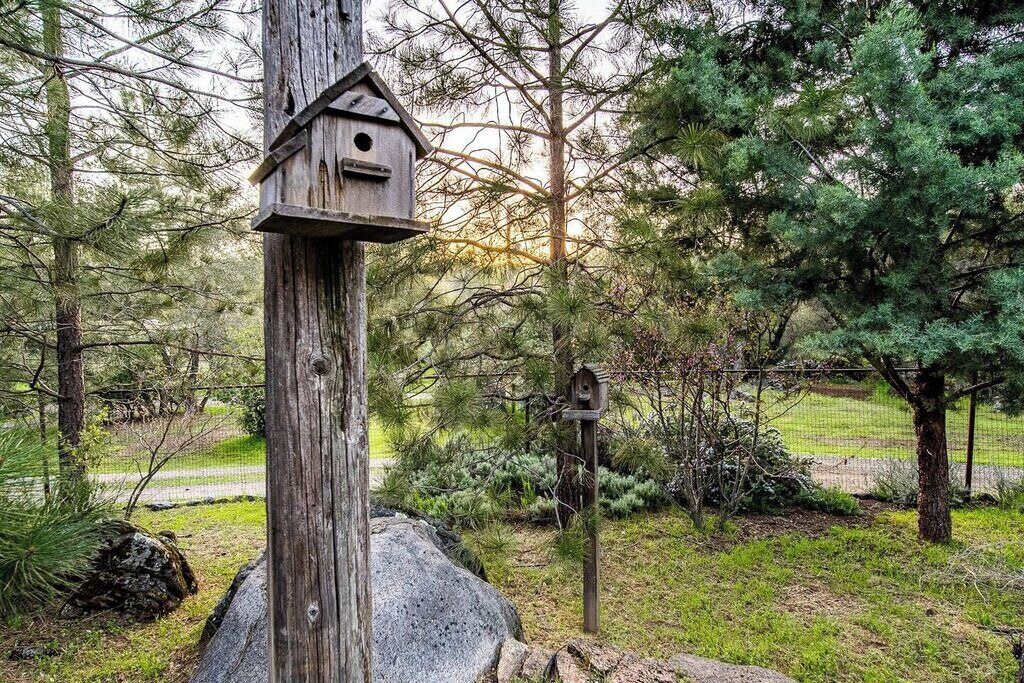 Photo of Outdoor in Mariposa