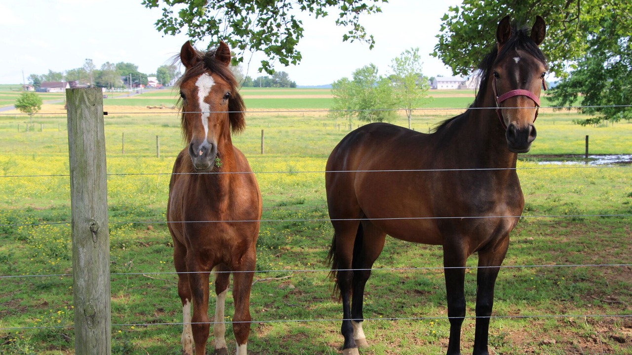 Photo of Others in Gordonville