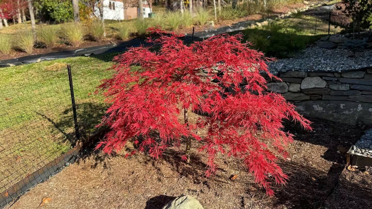 Photo of Outdoor in Hanover