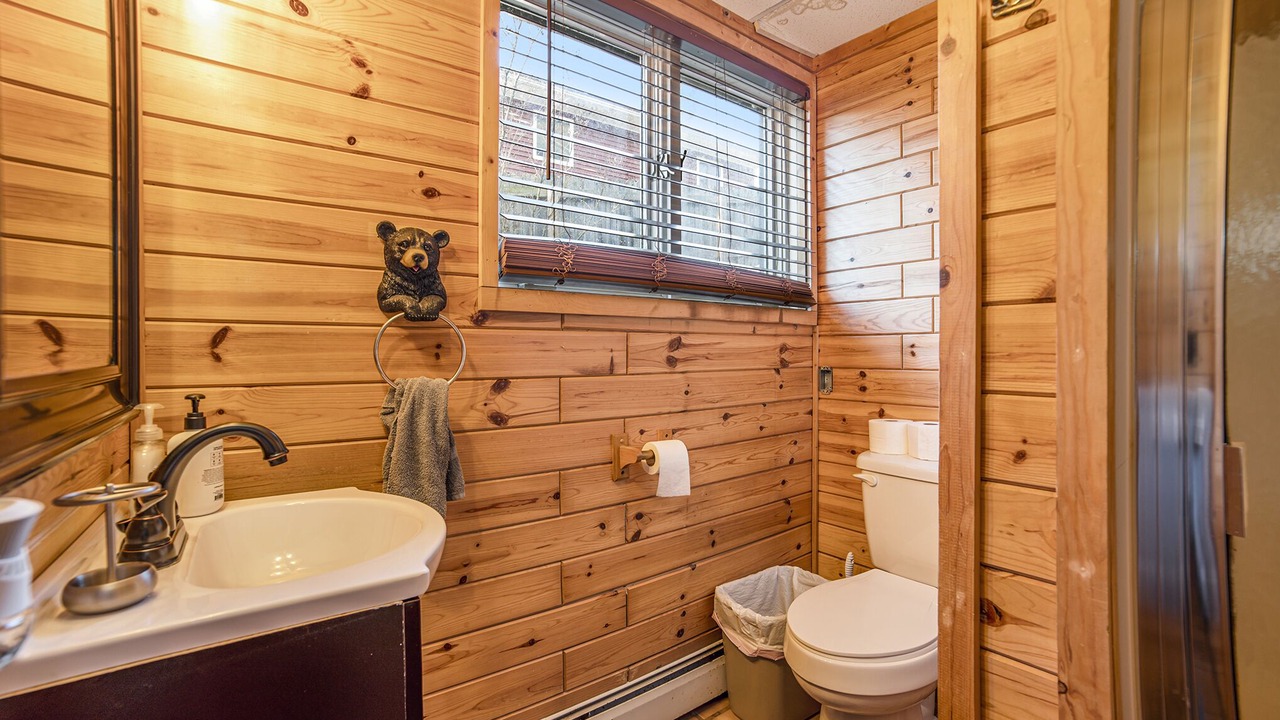 Photo of Bathroom in Gaylord