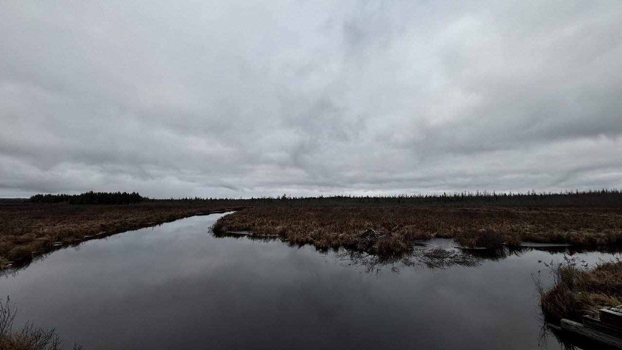 Photo of Outdoor in Roscommon