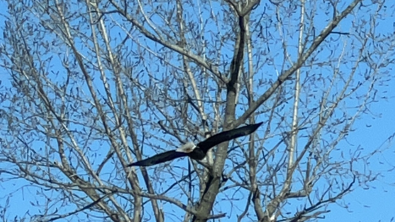Photo of Outdoor in Northwest Harwinton