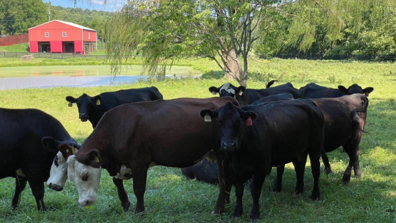 Photo of Others in Round Hill