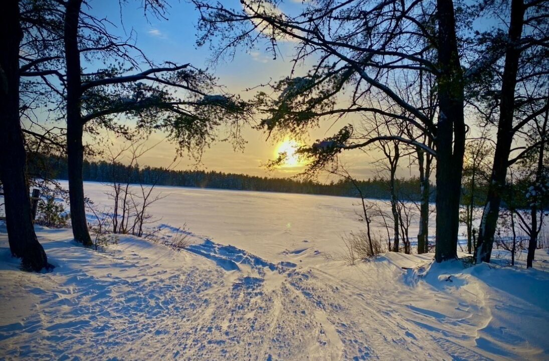 Photo of Outdoor in Paradise