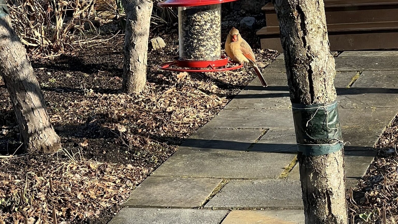 Photo of Outdoor in Millerton
