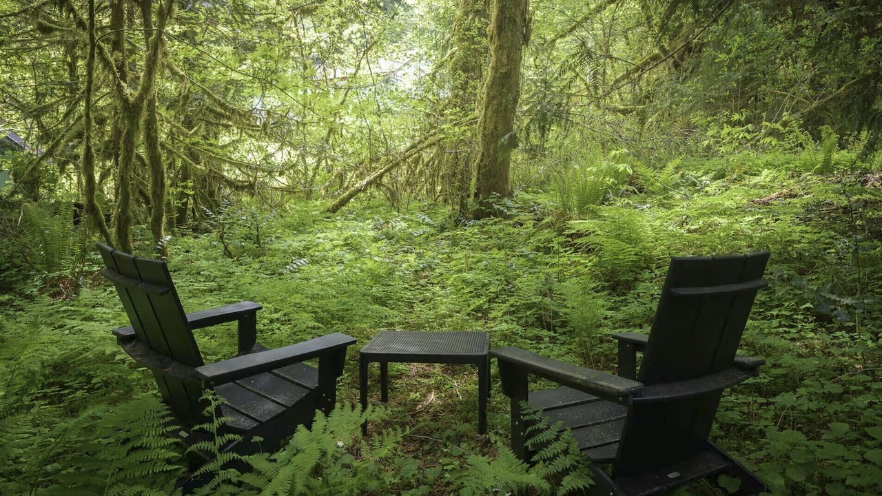 Photo of Outdoor in Rhododendron
