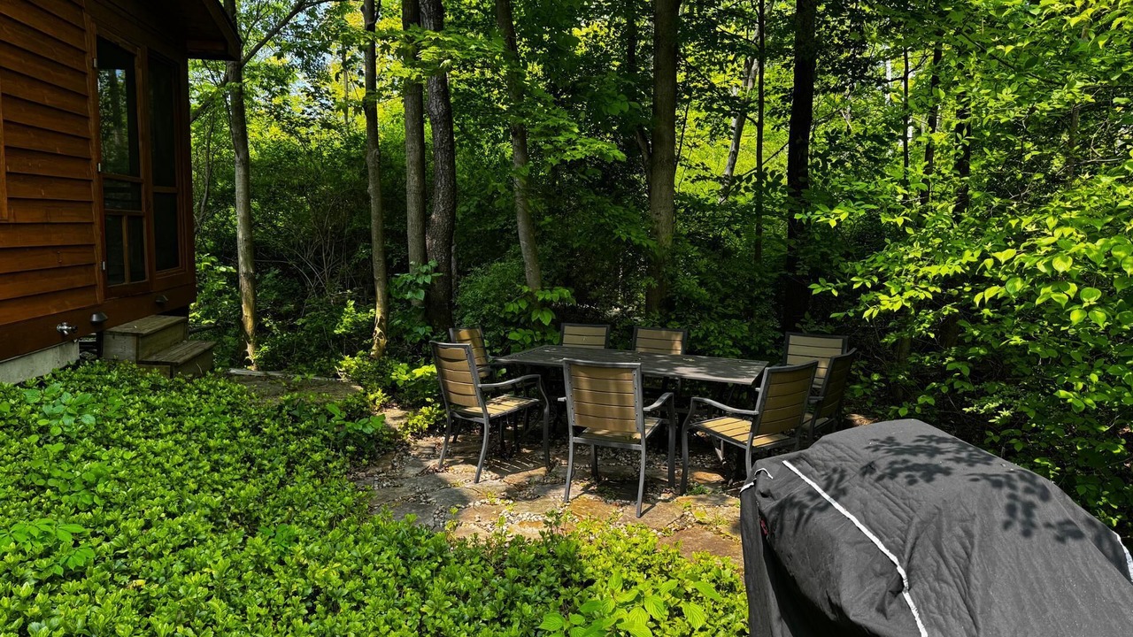 Photo of Outdoor in Saugatuck