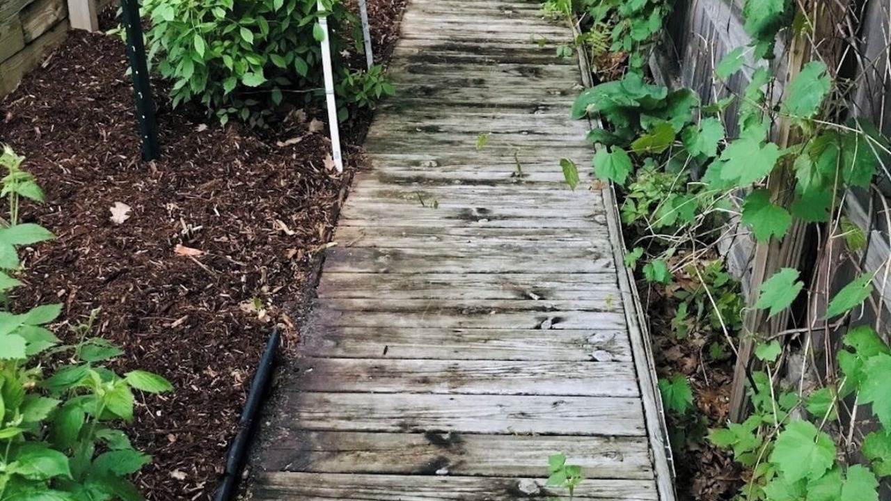Photo of Outdoor in Indian River