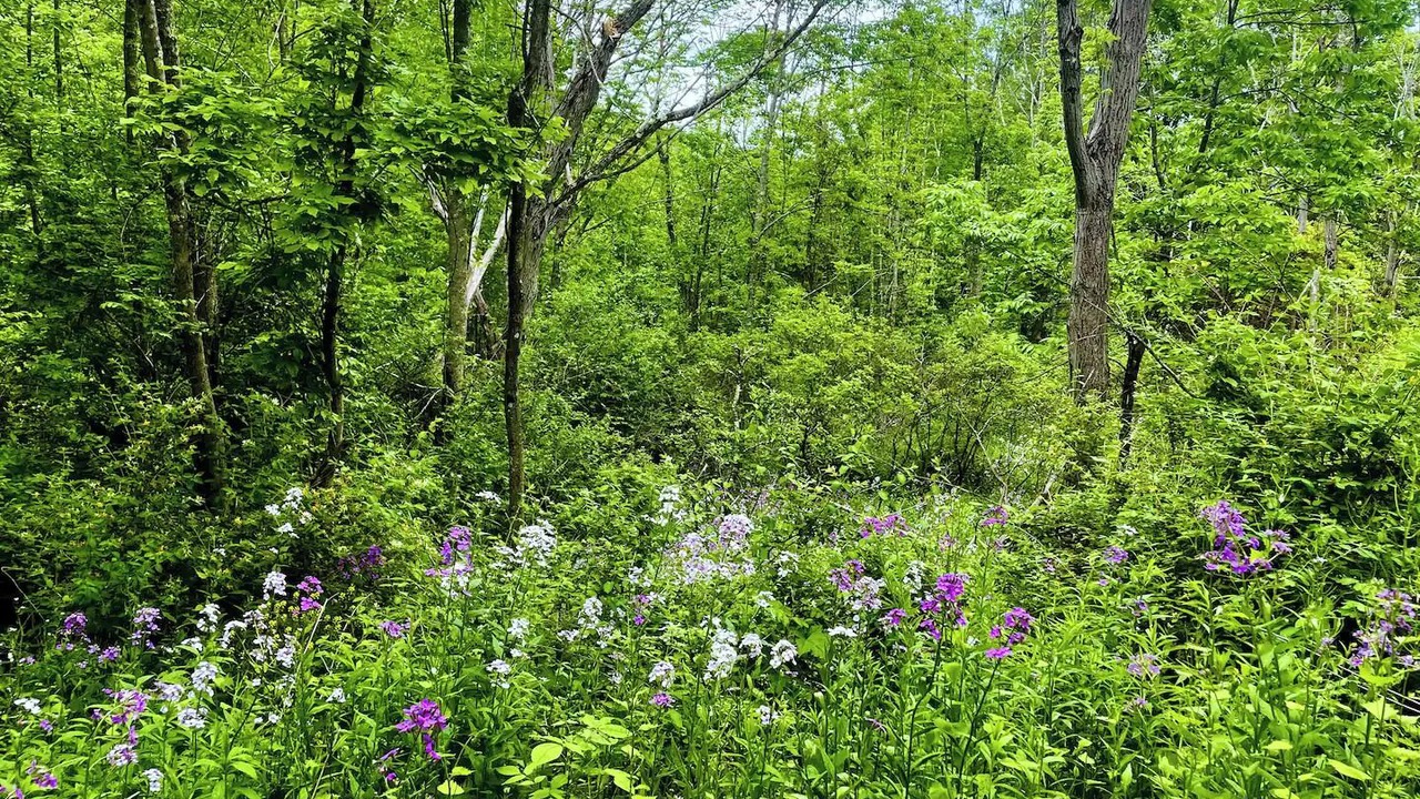 Photo of Others in Town of Fulton