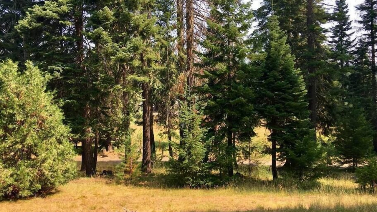 Photo of Others in Ashland