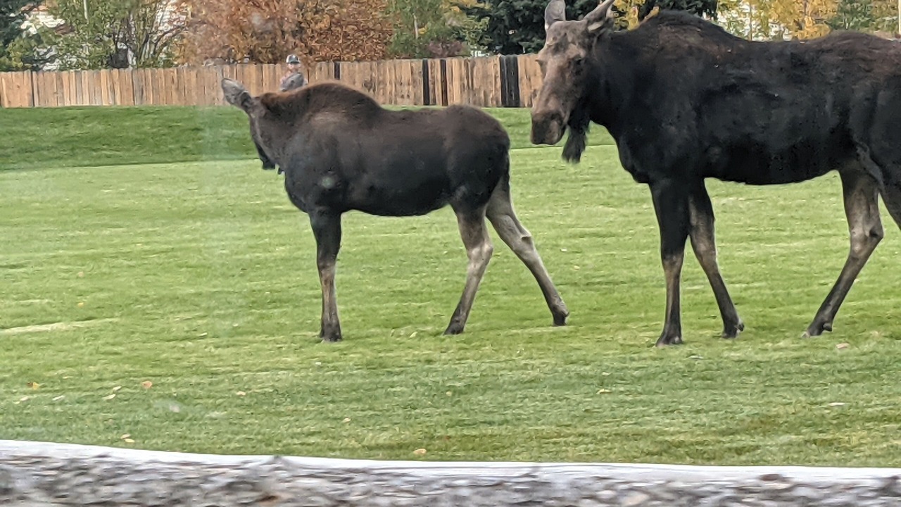Photo of Others in Jackson
