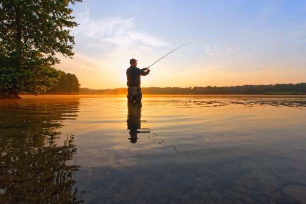 Photo of Others in Island Park