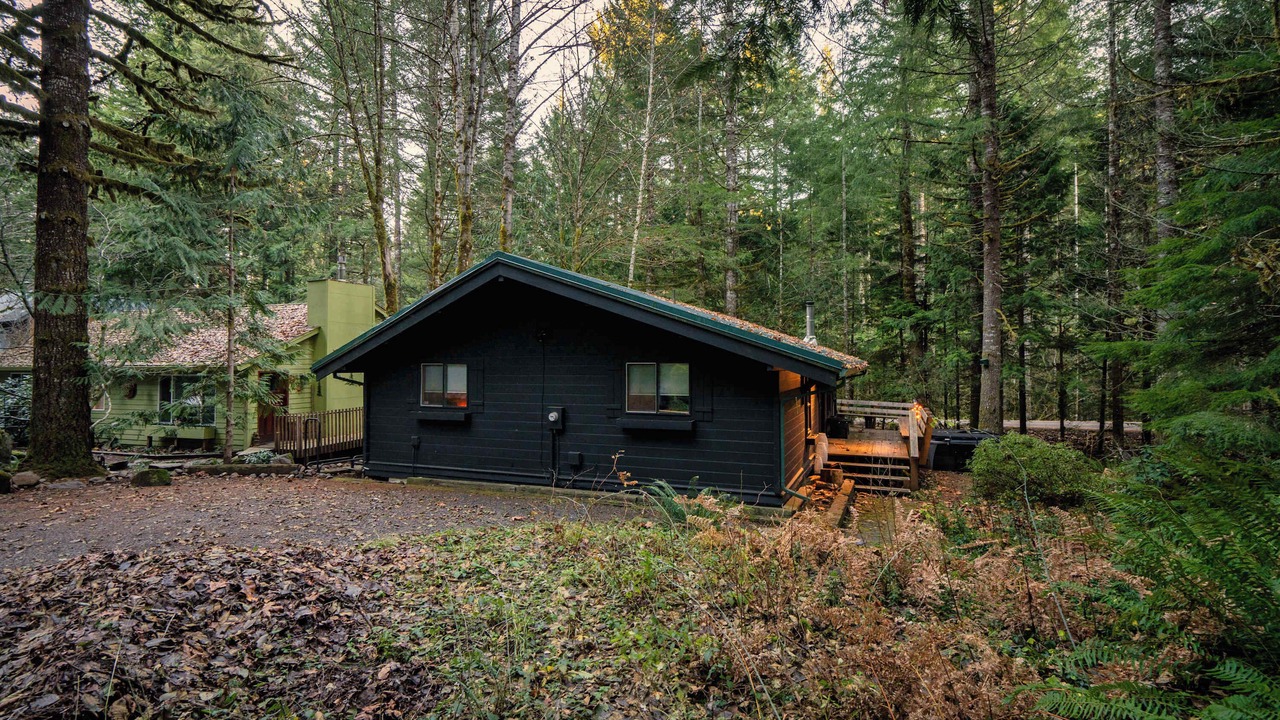 Photo of Outdoor in Rhododendron