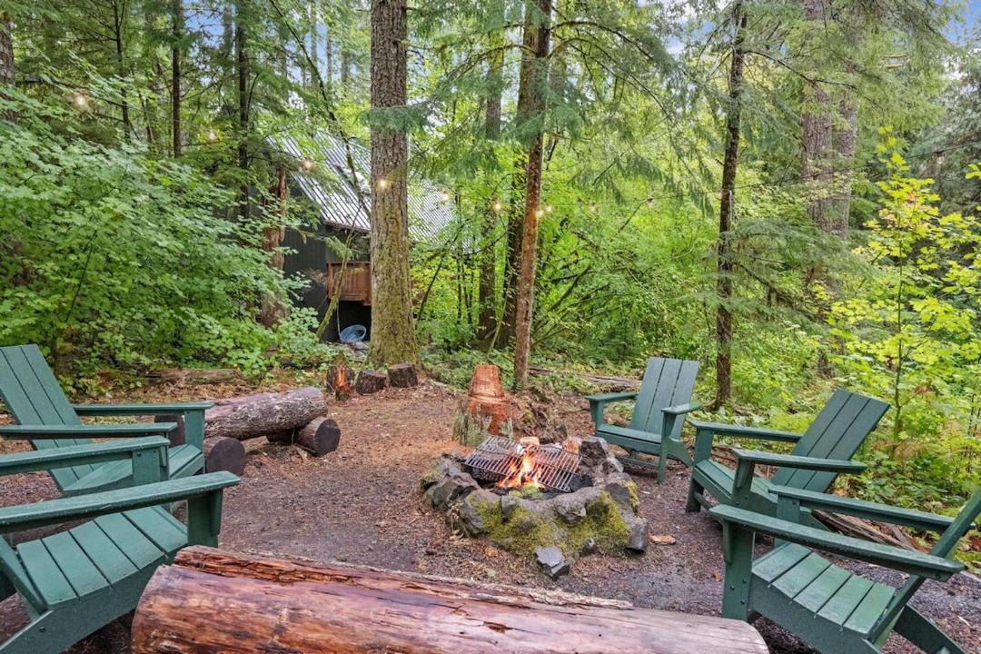 Photo of Others in Rhododendron