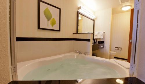 King Suite with Specialty Bathtub and Sofa Bed